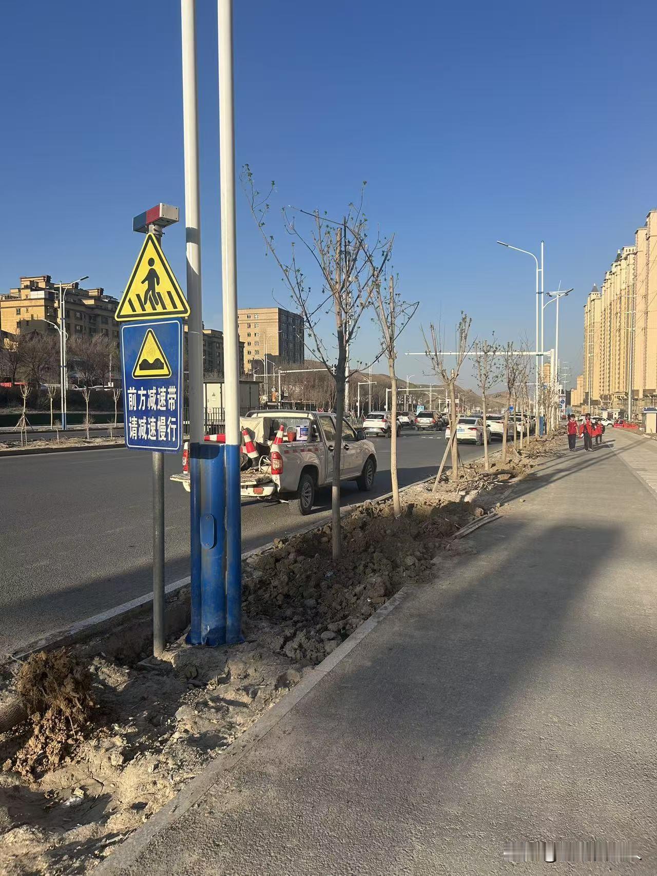 西泉街上，工人们正在补种树苗，去年因为水源问题无法及时跟上，死了不少树苗，这次进