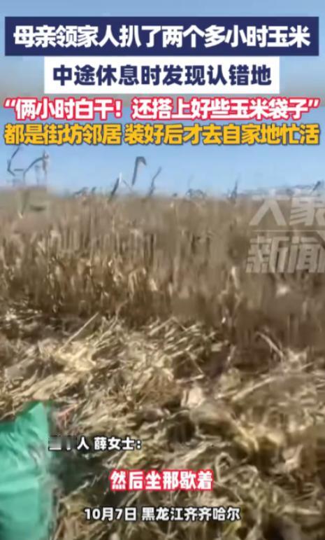 “丢人丢大了！”
10月7日，黑龙江齐齐哈尔，一女子领着家人去地里扒玉米，干了2