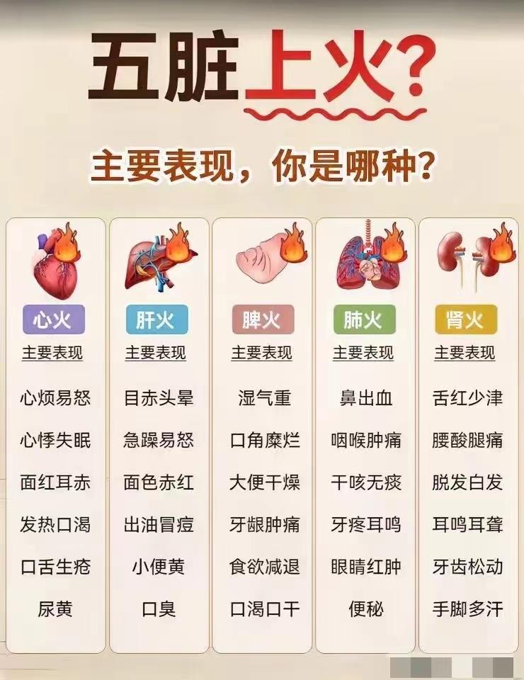 五脏有火，自测你是哪一种呢？
