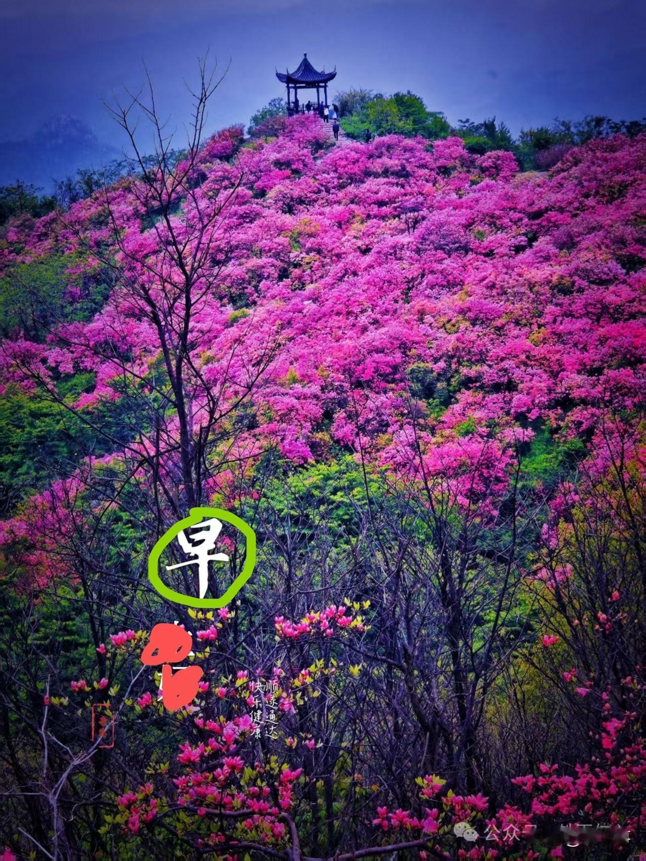 分享一张相册里随手拍的天空