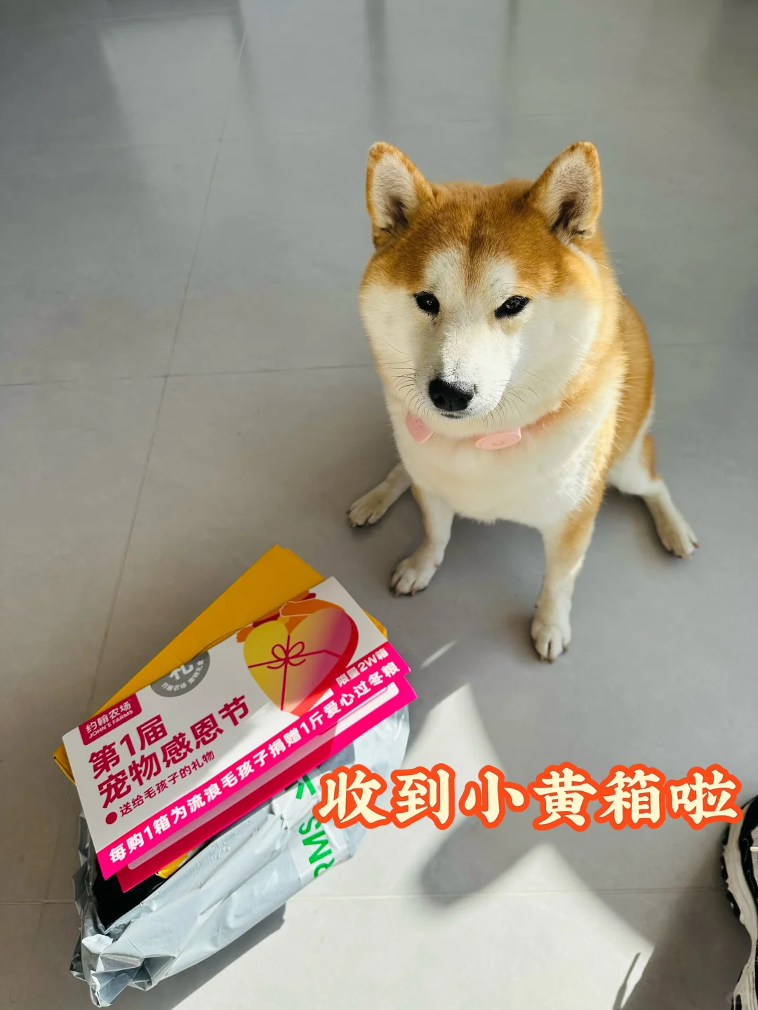 又可以吃约翰农场小黄箱啦