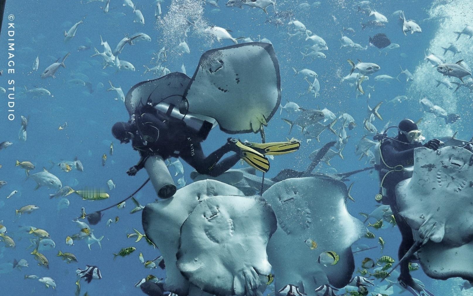 阳光、海浪、梦幻与奢华交织，三亚亚特兰蒂斯，在水天之间书写一段不朽的神话。三亚跨