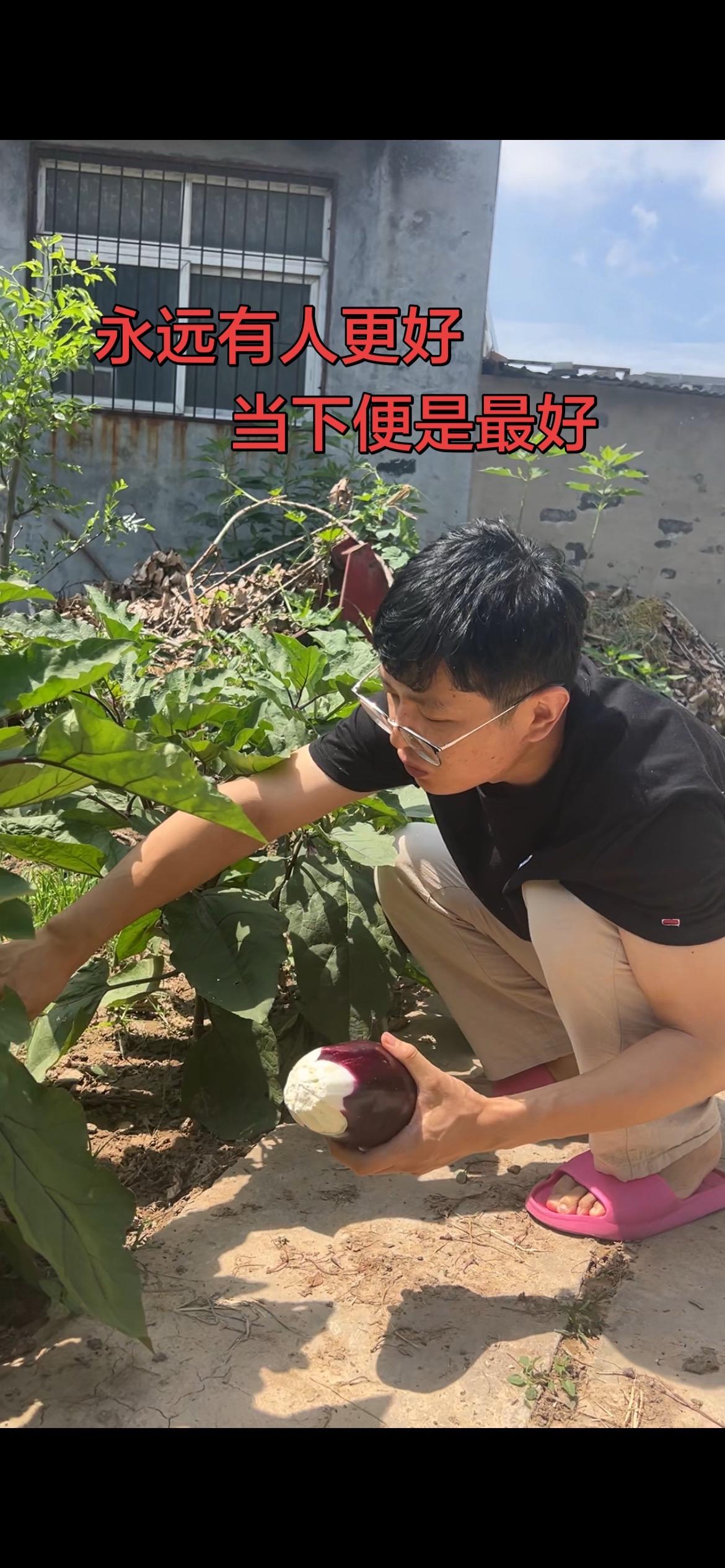 不念过往遗憾，不忧来日迷茫，唯有当下光景，才是人间万般晴朗。