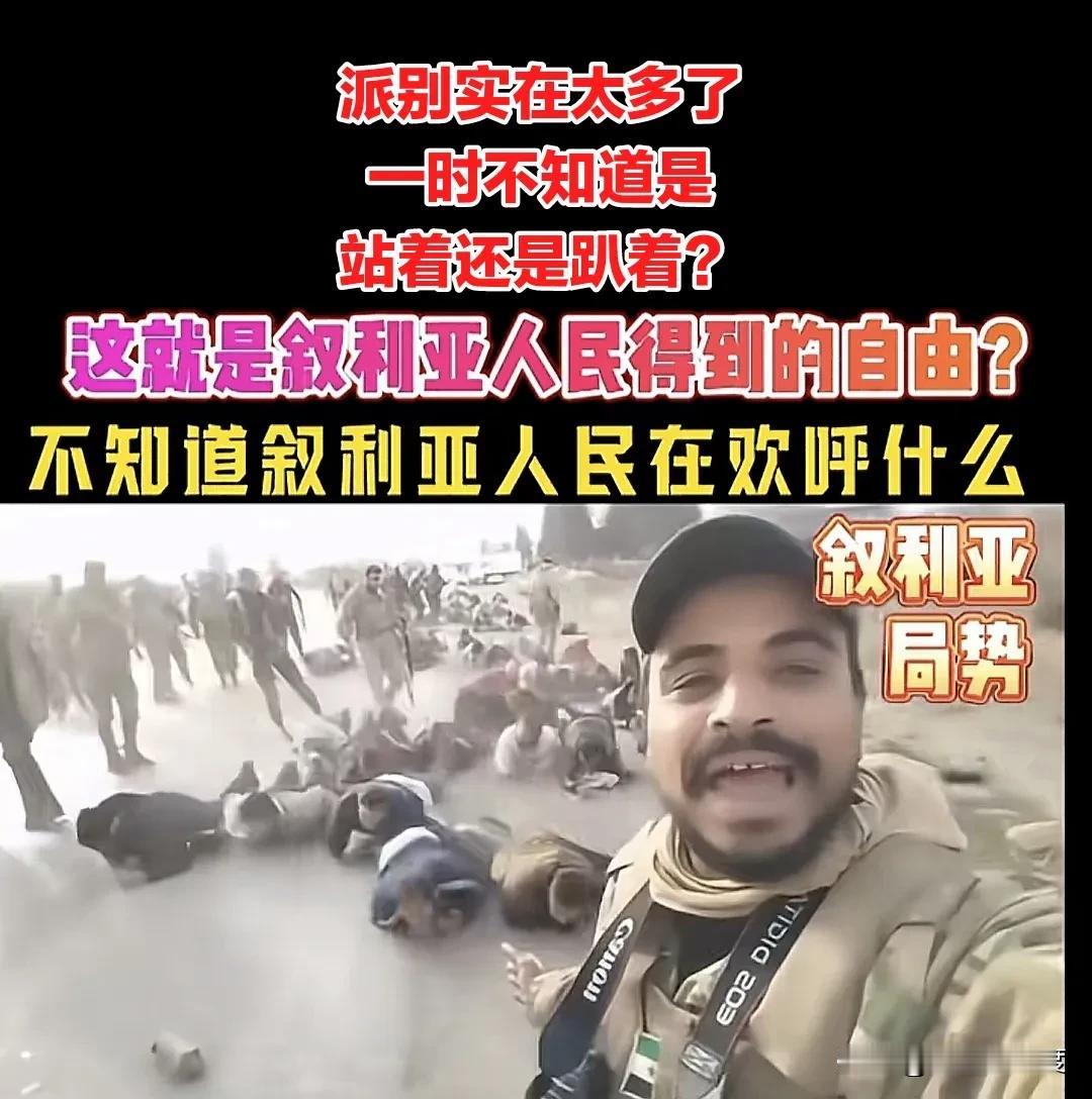 现在叙利亚虽然解放了，没有了独裁者，但是新的问题又来了，变成了解放了又没解放的样