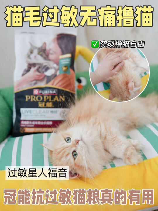 猫毛过敏无痛撸猫，冠能抗过敏猫粮真的有用