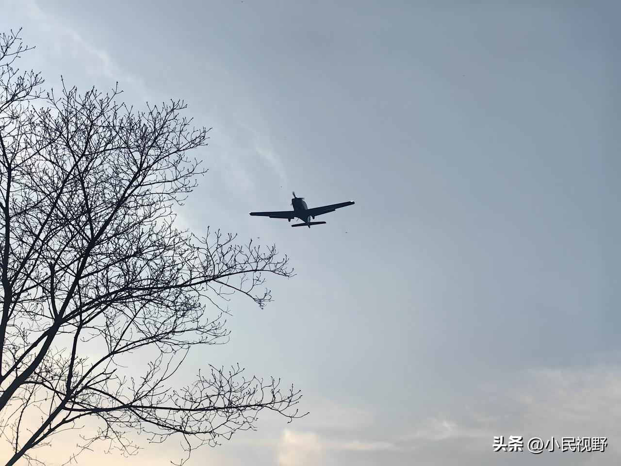 现代动物世界战争中的偷袭现象频发，兔子若不改变“不开第一枪”策略将面临危险。近三