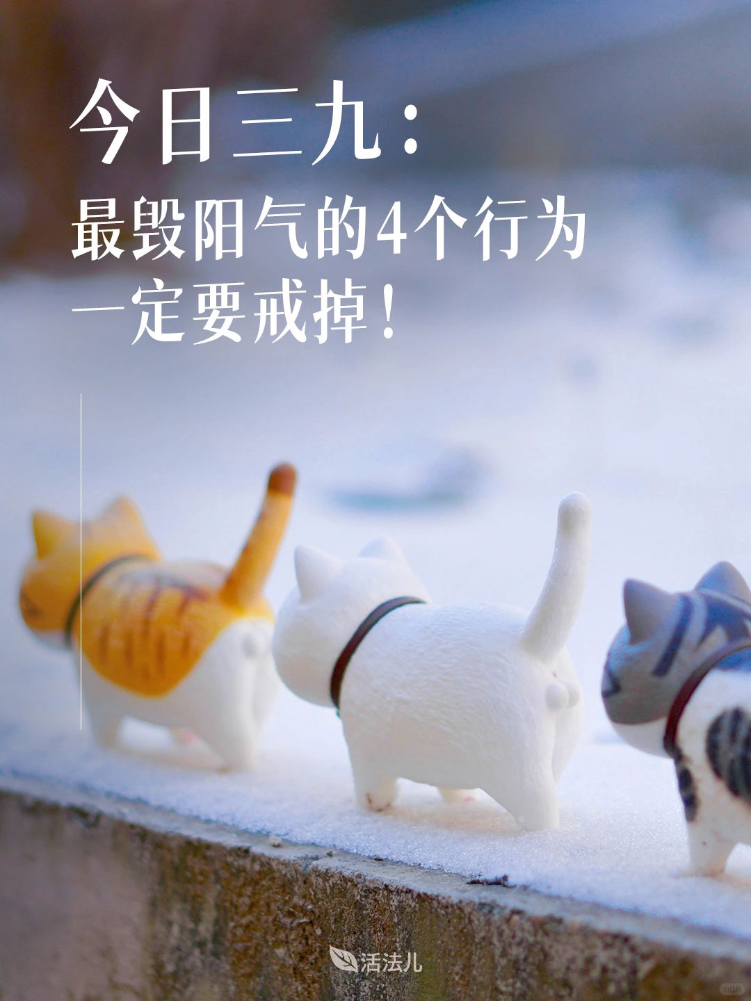 中医：今日三九，养好健康一整年！