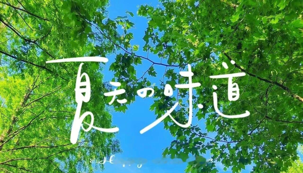 ☀️
美好的一天开始啦！

平凡的日子，也能开出浪漫的花，用心感受，处处皆是美好