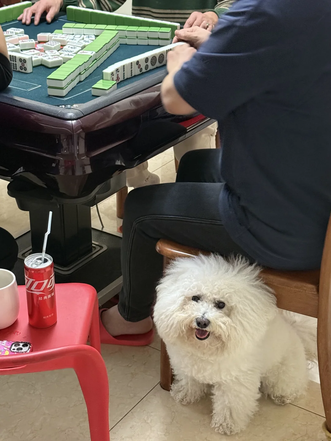 家庭聚会日是麻将搭子也是饭搭子😂忙碌一天