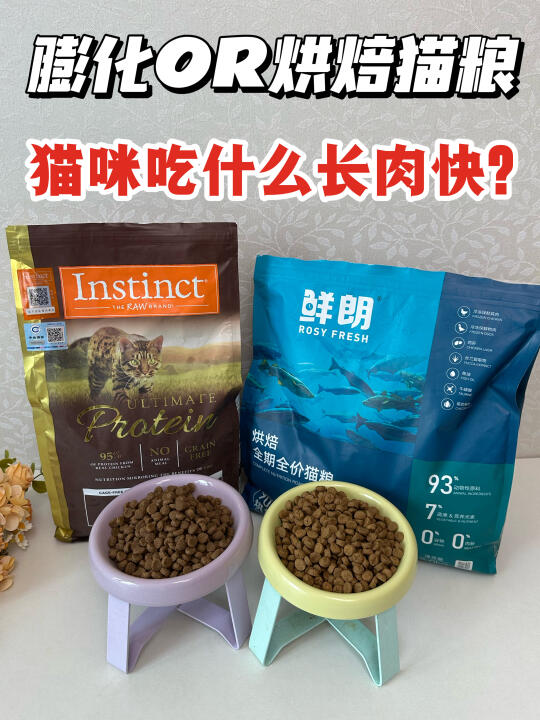 膨化or烘焙猫粮，猫咪到底吃什么长肉快？