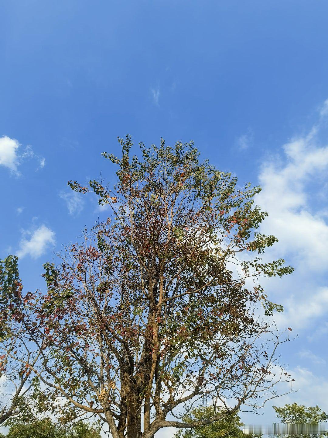 毛姆｜叶之震颤｜雨她鼓起精神。无人能够形容她表情里的鄙视，还有她在回答中投入的轻