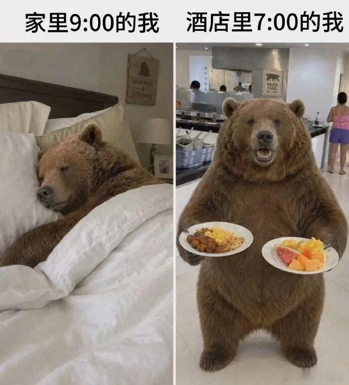 看了何同学那期关于Tim库克CEO生涯的回顾，有几个观点很赞同。1，苹果在乔布斯