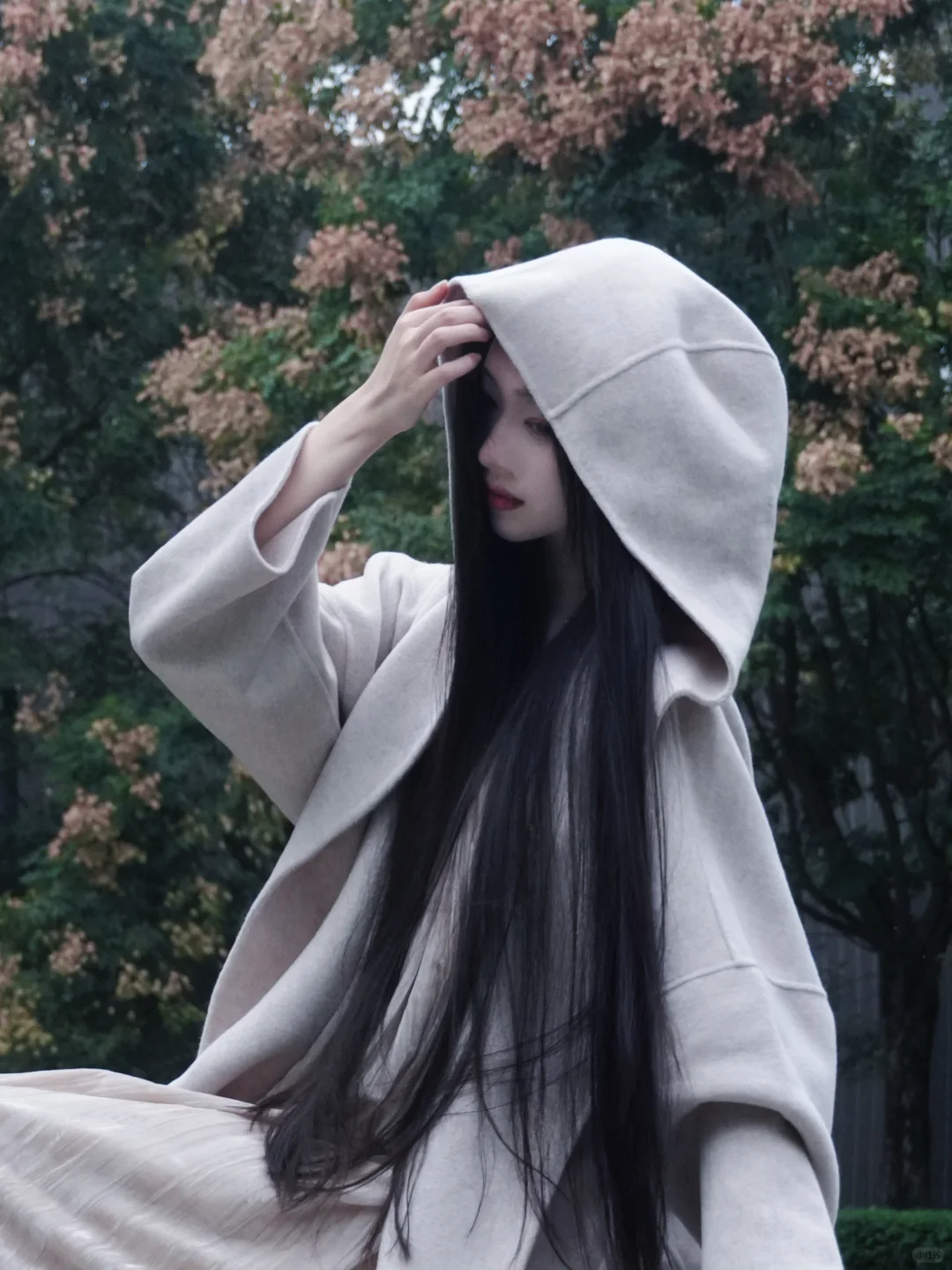 我于窗中窥伤鹤