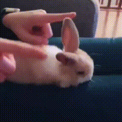 好可爱 ​​​