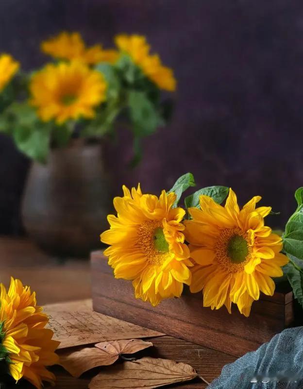 什么样的人最招人烦？是那种你不想搭理他，他又非要跟你纠缠不休的人。
这种人一般都