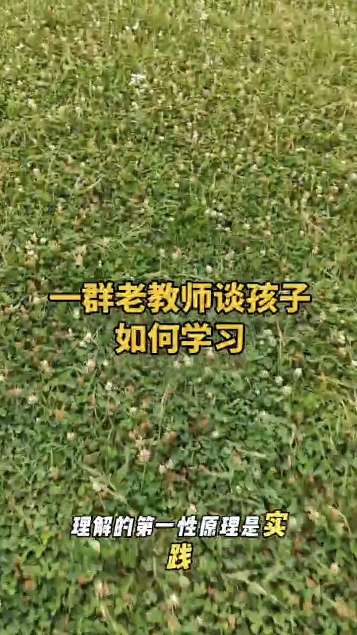 一群老教师谈孩子如何学习。
学习的第一性原理是自学而不是补课。自学的第一性原理是