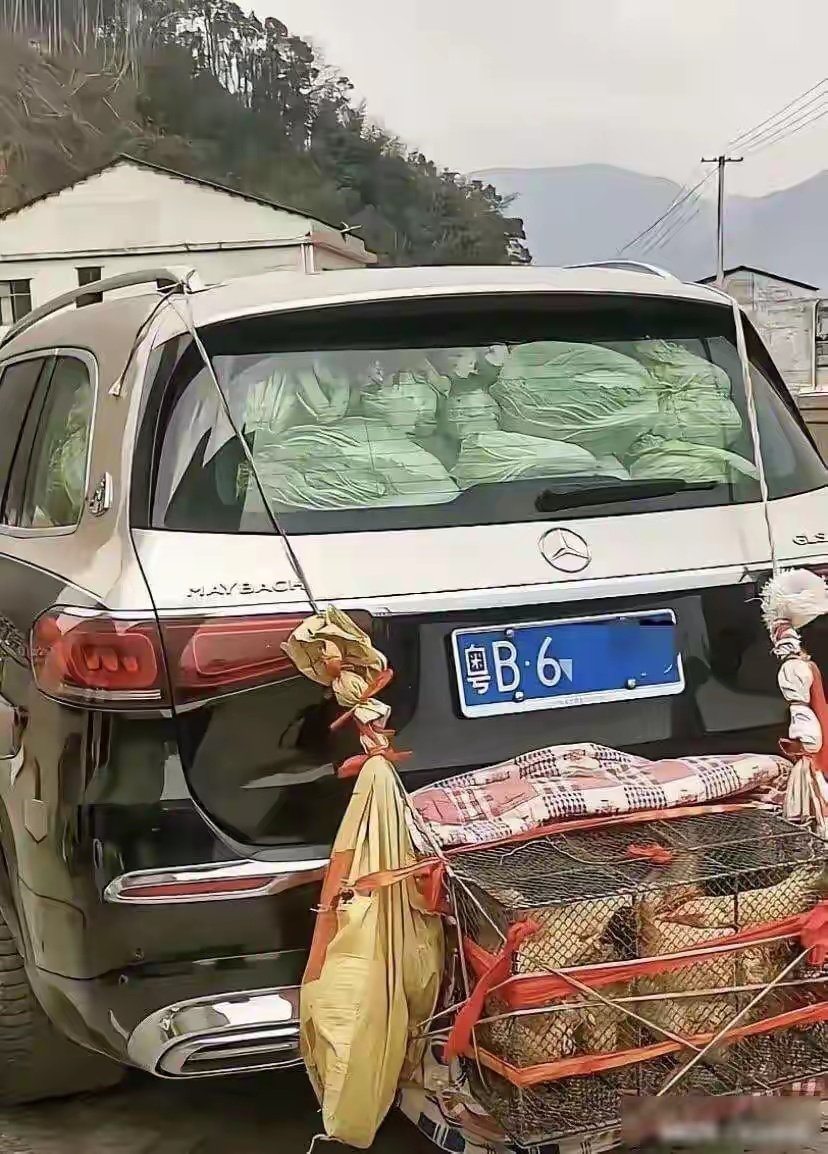 这个果然很深圳呀，真的很接地气即使你是迈巴赫也逃不过。车尾挂着一个铁笼子，里面关