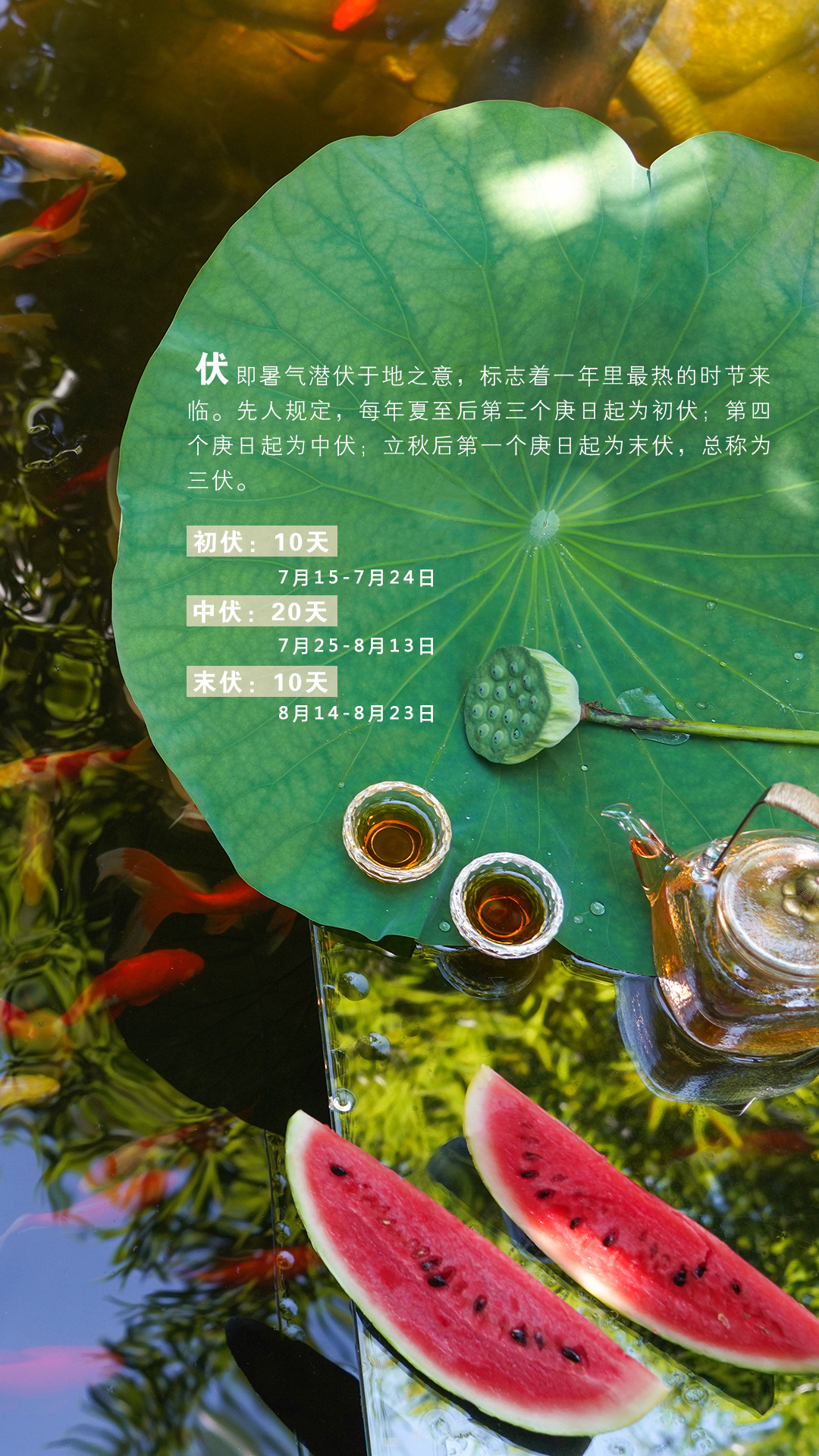 入伏 今天入伏，40天的湿热天气开启了！头伏饺子，二伏面，三伏烙饼摊鸡蛋。 
