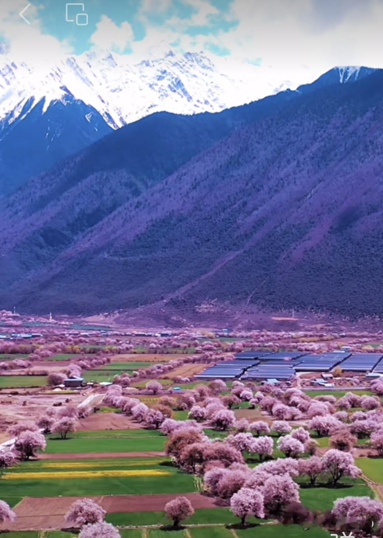 斯坦福大学心理学博士斯蒂芬.吉利根说人生最好的活法就是两句话：在自己的世界里熠熠
