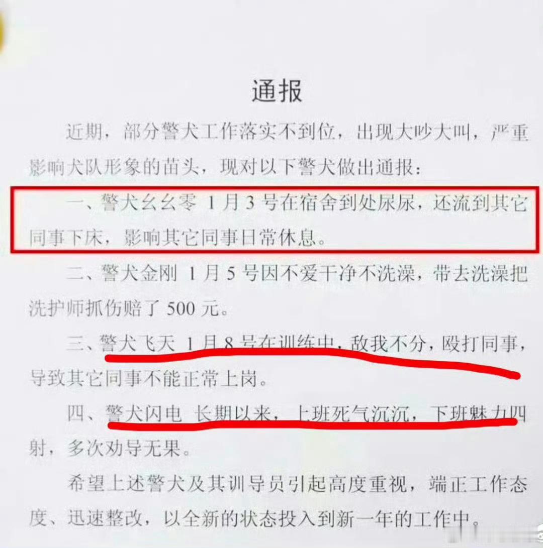 警犬在战友床上尿尿连续4周被通报 哈哈哈哈哈哈哈哈哈哈给人家留点面子吧 