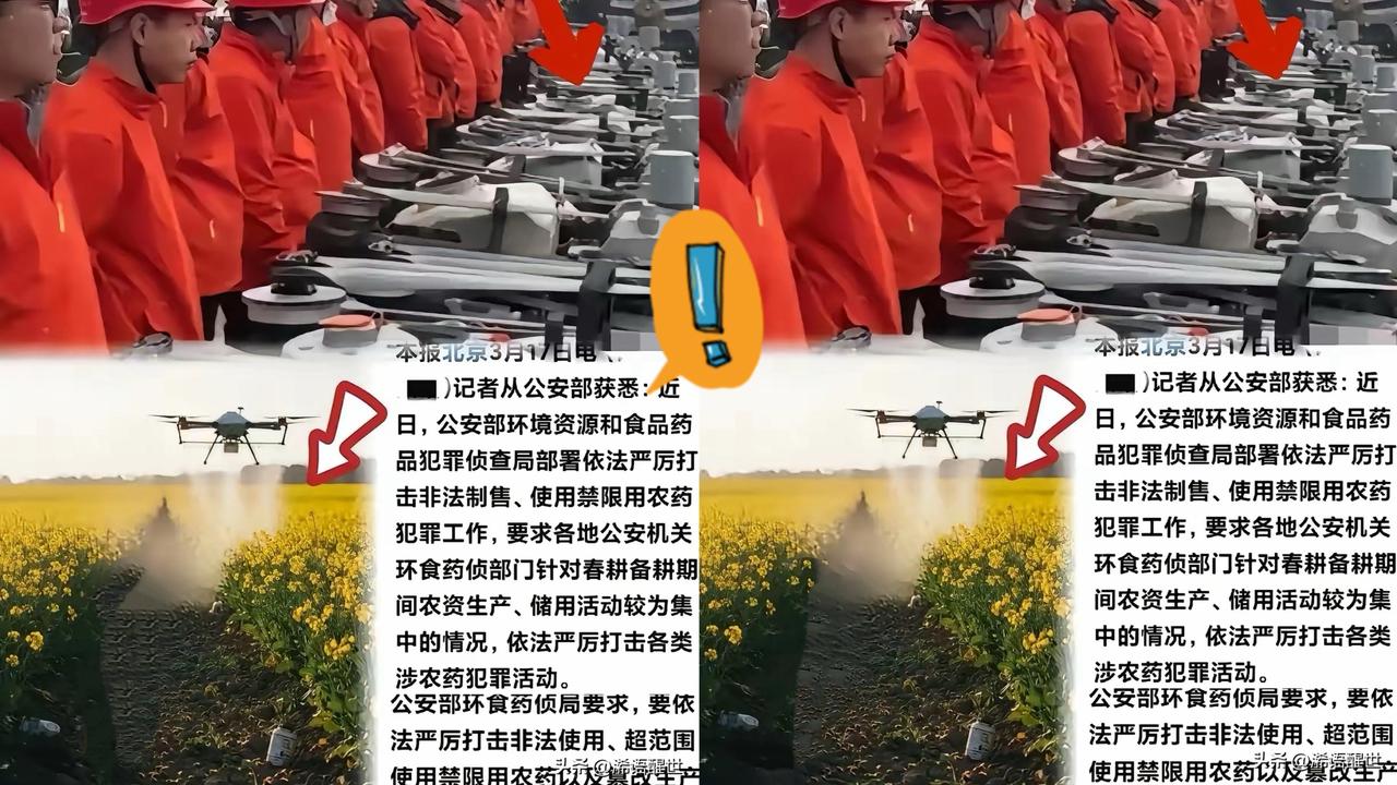 这下可算踢到铁板了！公安部重拳严查，谁还敢嘴硬说风凉话。

有些承包大户仗着无人