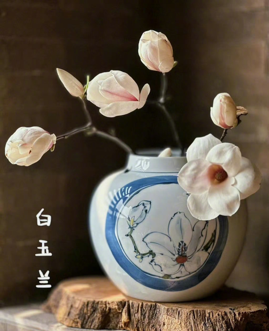 “ 插花拾趣 ... ” ​​​