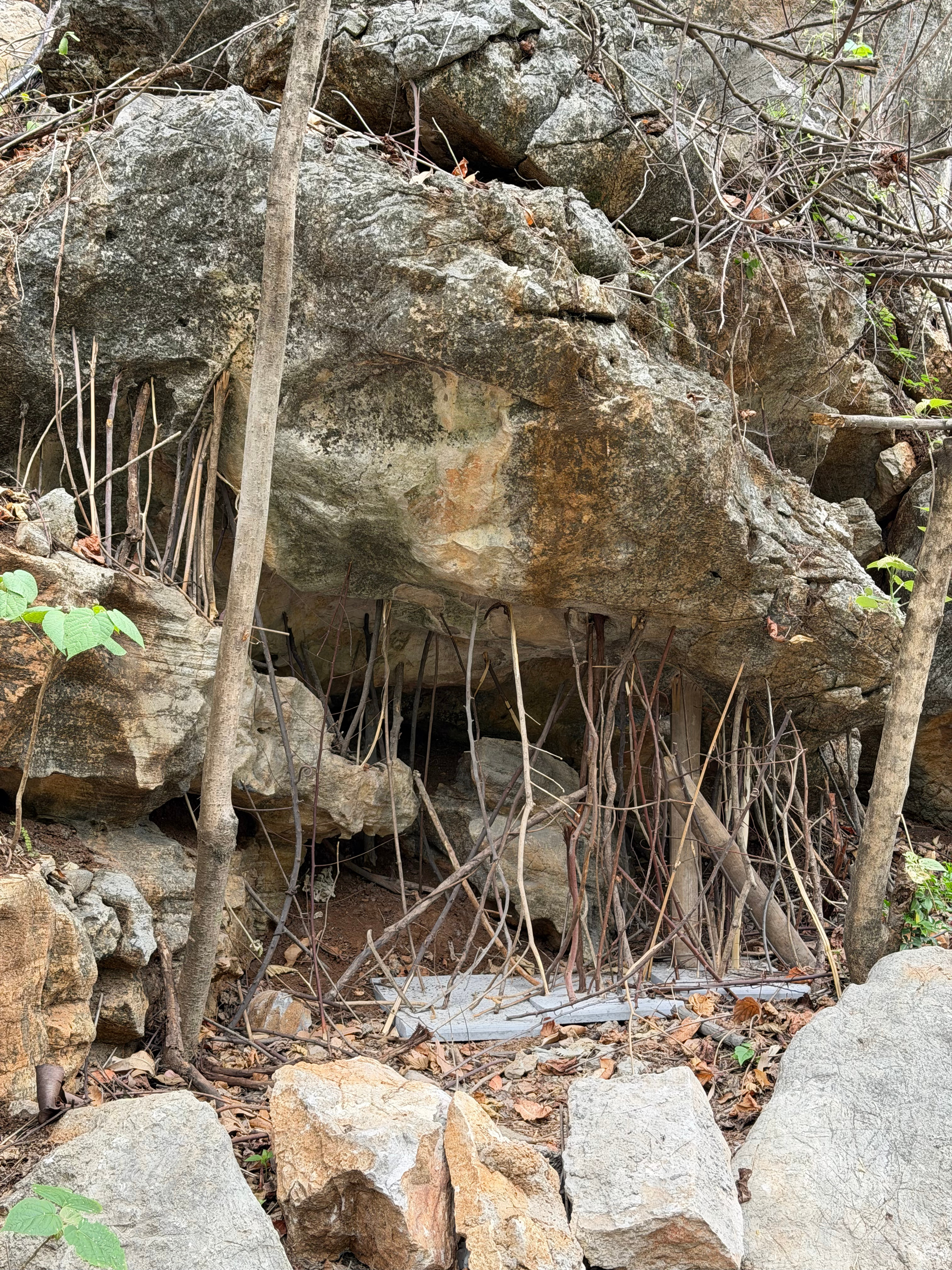 在花江都大峡谷徒步遇到一个很特别的现象山上很多石头都用木条撑着这是什么寓意🙉 