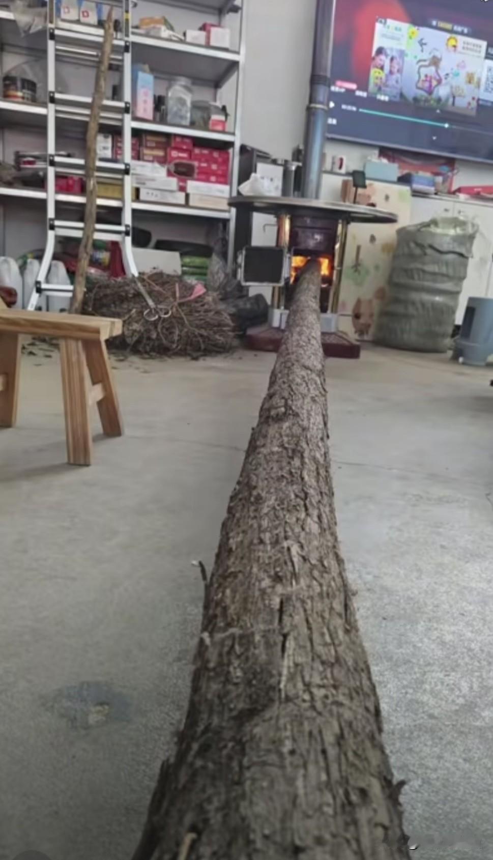 懒人烧长柴具像化了，真的有人这么烧柴吗？？