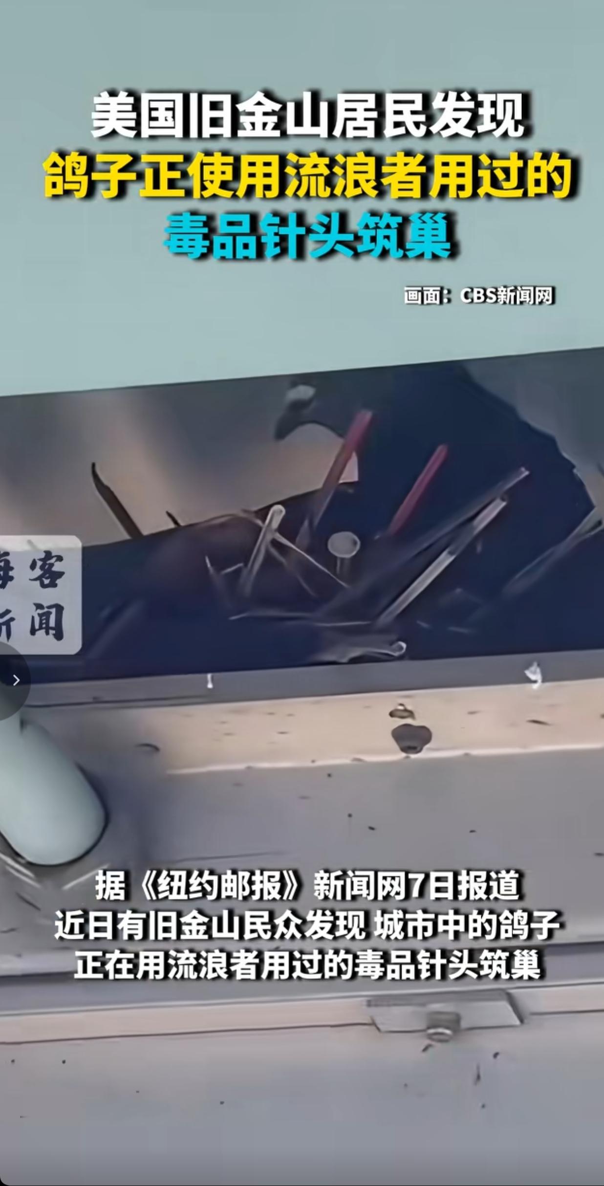 意林都沉默了！
 
5月7日《纽约邮报》报道，旧金山田德隆区居民拍到鸽子叼着流浪