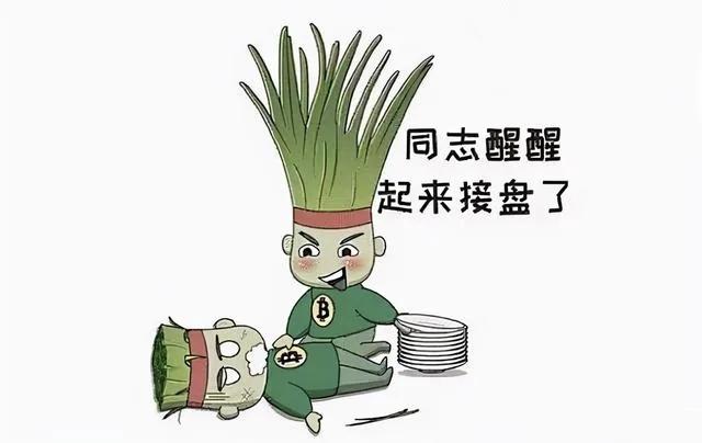 散户的脸被打的啪啪响，今天大消费板块反弹，白酒行业领涨。

上个月还在嘲笑张坤减