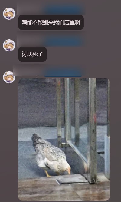 小鸡 ​​​