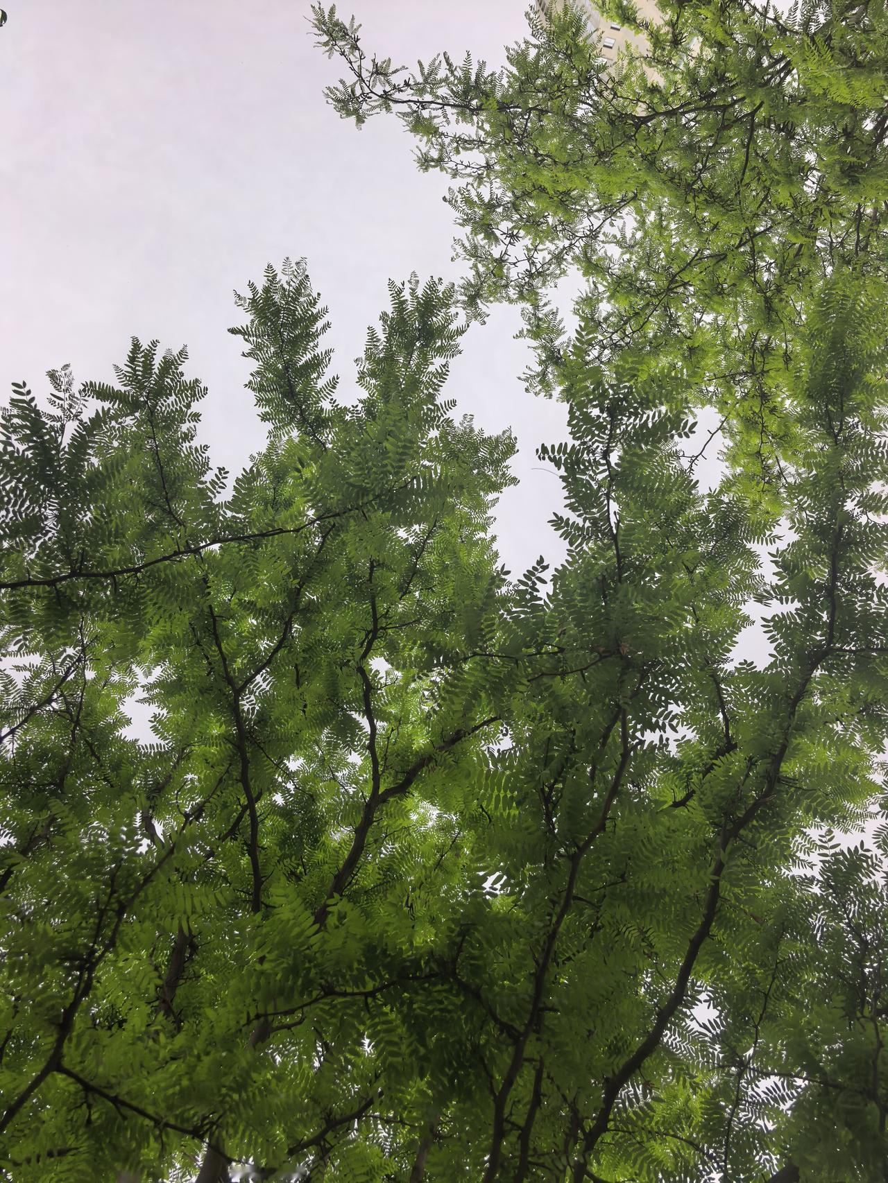 净利润暴跌77%！全聚德：160年老字号为何卖不动了？
 
2026年4月，全聚