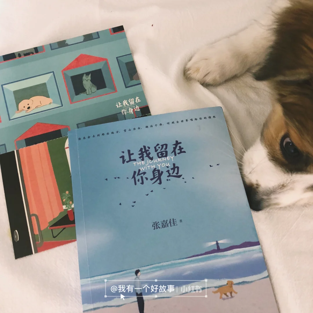 治愈书《让我留在你身边》养狗人士看到会哭