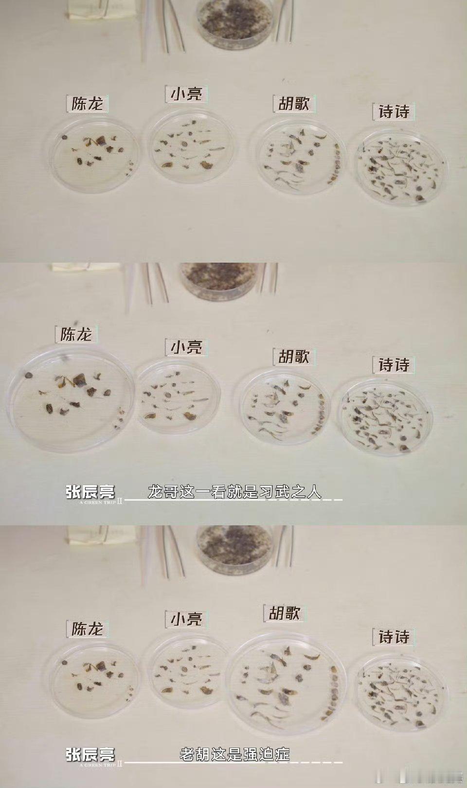 胡歌挑鱼刺强迫症舒适  在《野外挑战》中从水獭便便中挑鱼刺，细节控表示极度舒适！