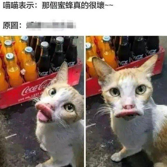 纯电车千万般好，但为什么很多人依然坚持油车呢？我是过了两个关：第一个就是续航焦虑