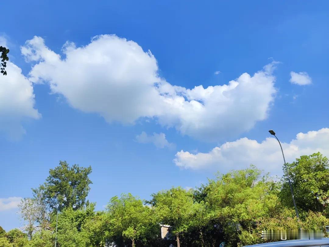 紫气东来。
紫气东去，今年的热闹都集中到了东部，那个太阳出来的地方，先是方特，再