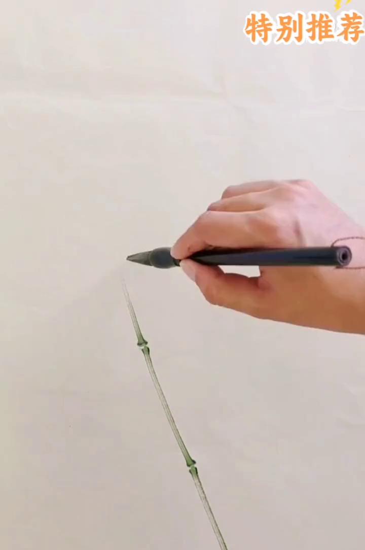 特别推荐：没骨竹子绘画示范。