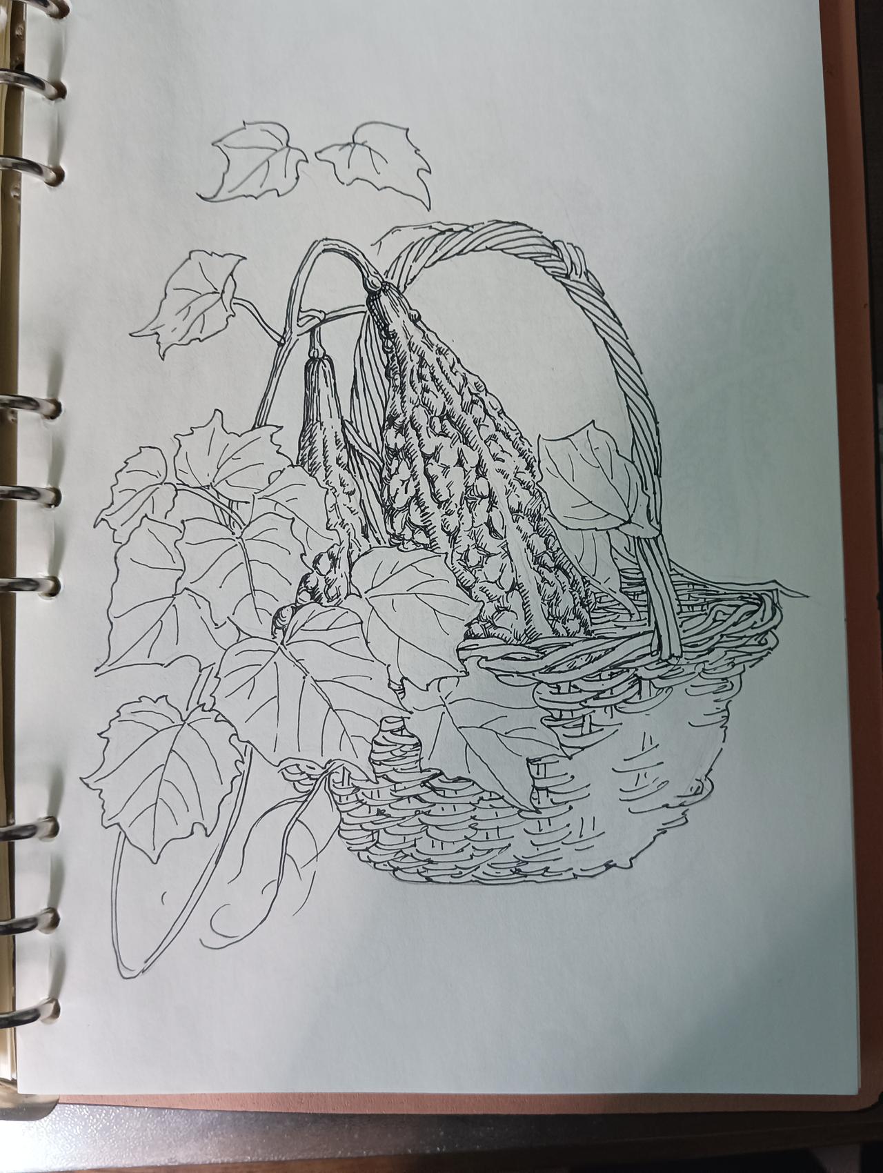 慢性病求医经历，给老年人提个醒，避免踩坑。
拍完ⅹ光片，坐诊医生问:有医保吗？我