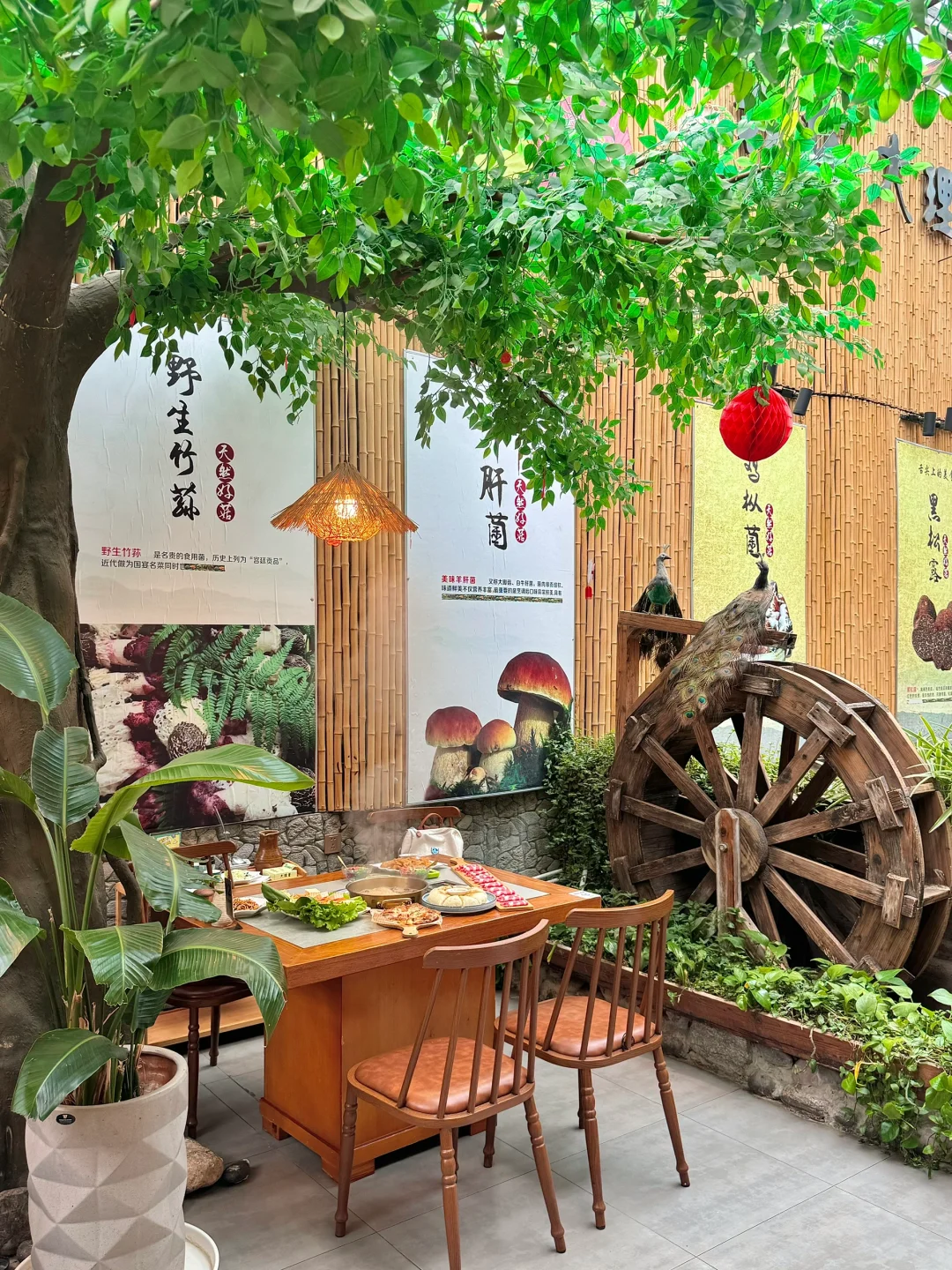 记住大理古城这巷子！！一定要空腹来。。。