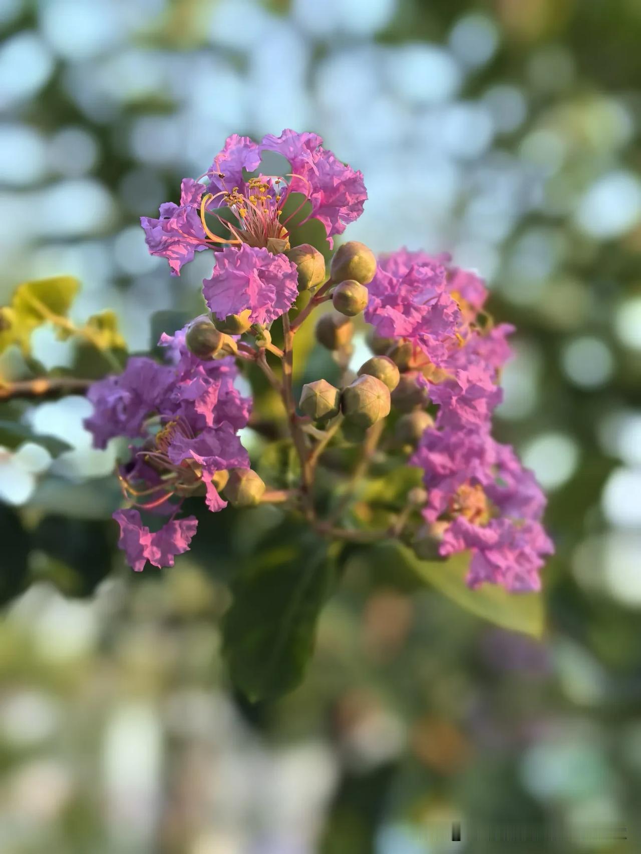 ✦ 钱守旺教育观察 ✦
【第54期】
🔵 每读一本教育书，你都在确认自己已经会