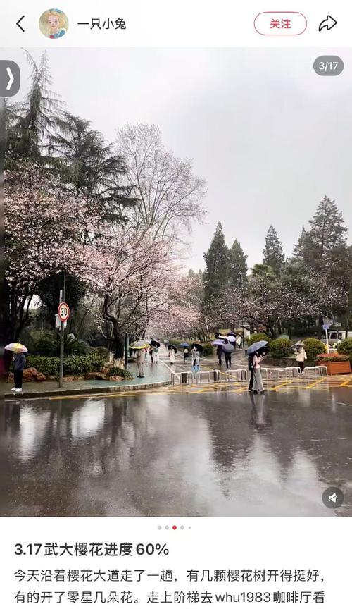 晒晒武汉的城市风光武汉城市春季的街拍。