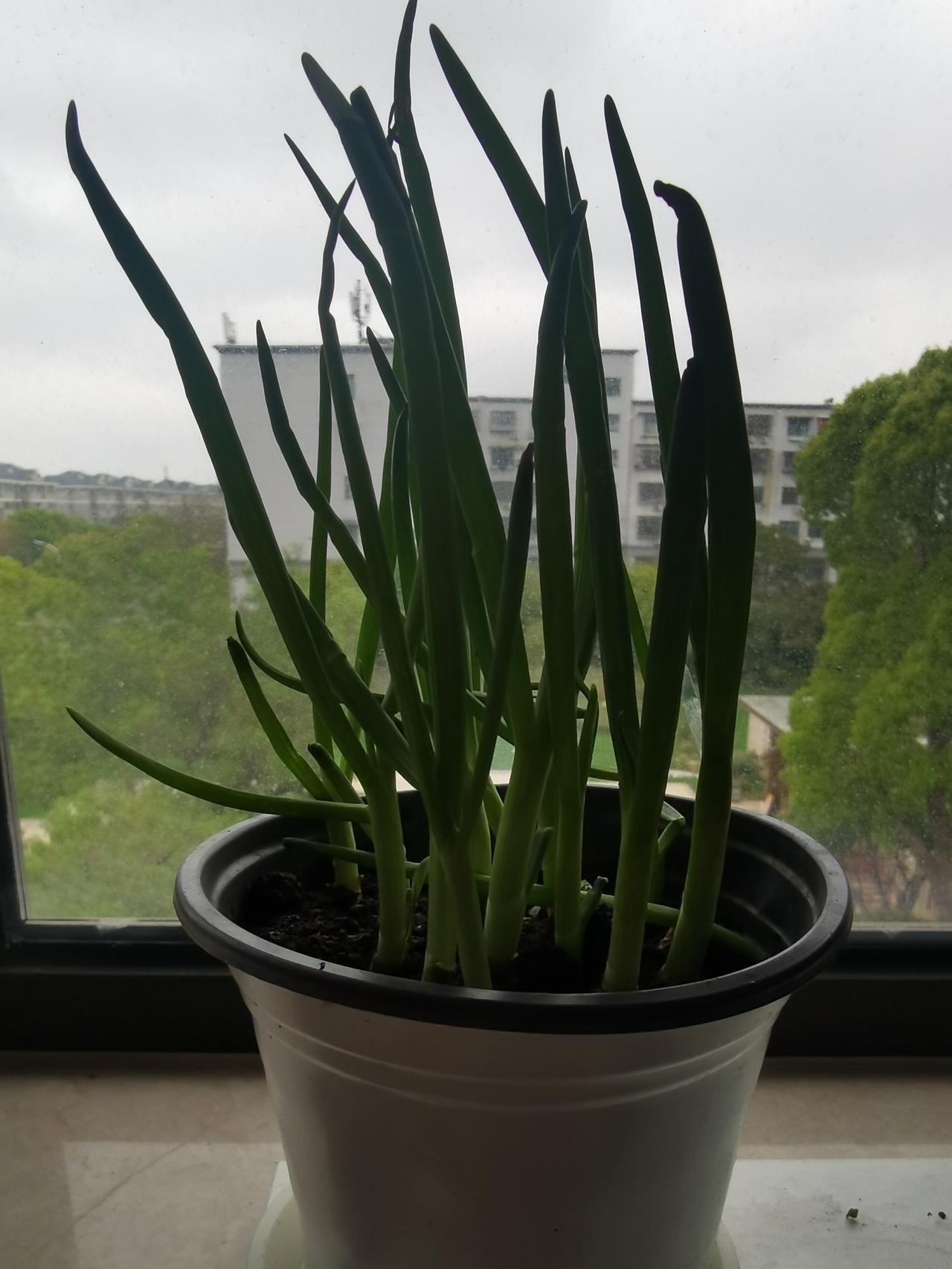 你认为独居是孤独吗?

我在头条分享自己的独居生活，评论区问得最多的是：怎样才能