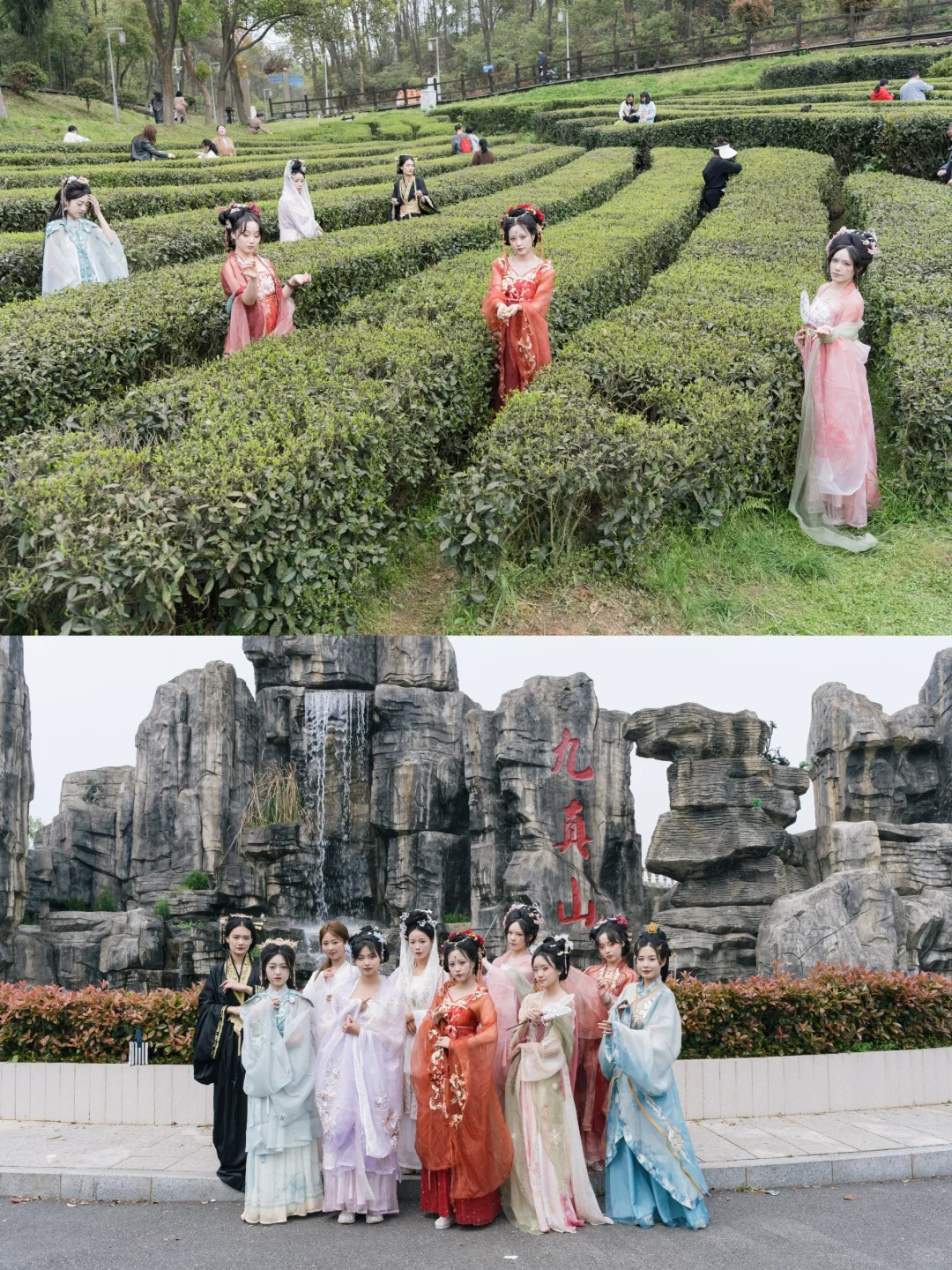 在武汉采春茶，就来九真山