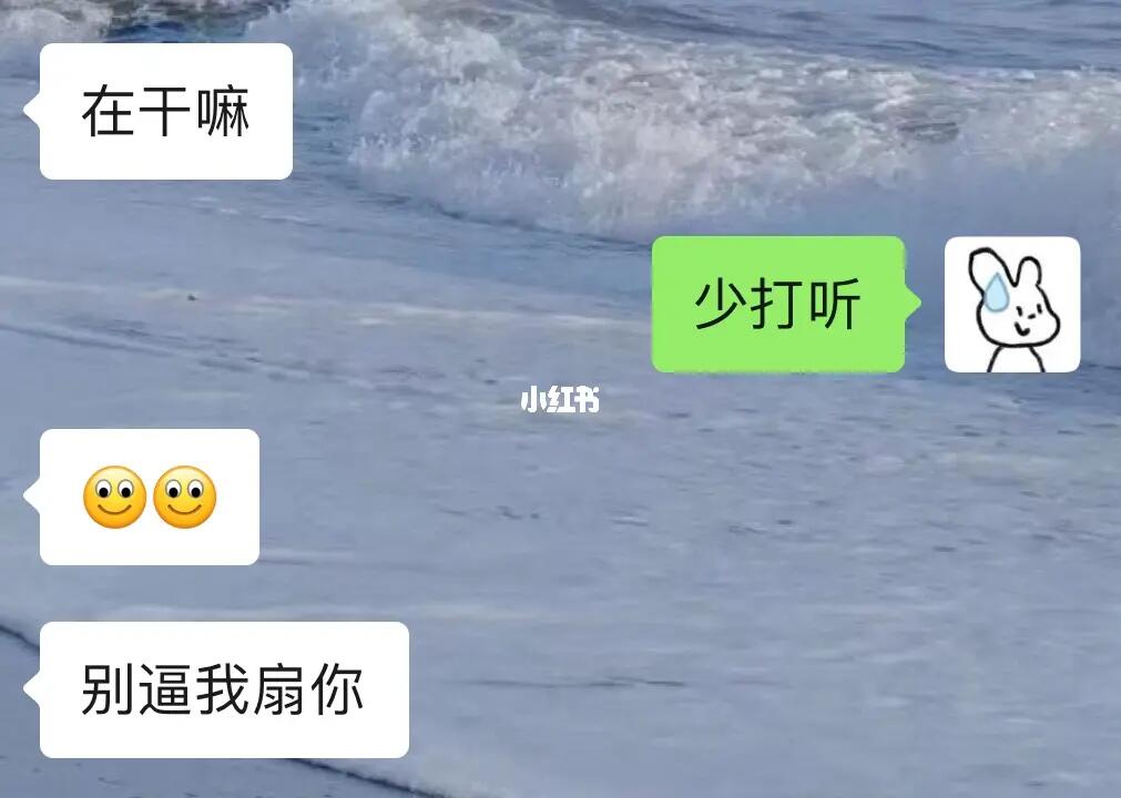 《梗系女友的日常》