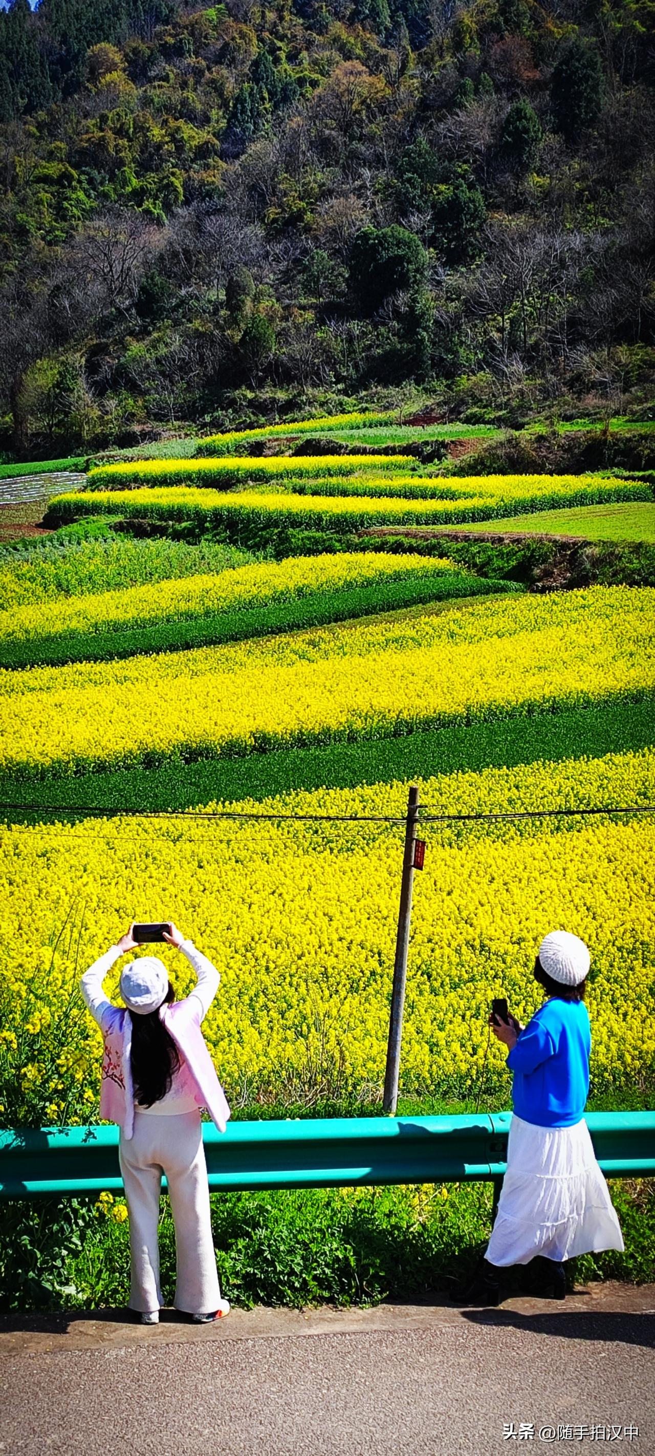 山谷中，春意盎然，春风依依，泊车拍照的人们兴致高昂。美景拥有着诅咒：当你知道一件