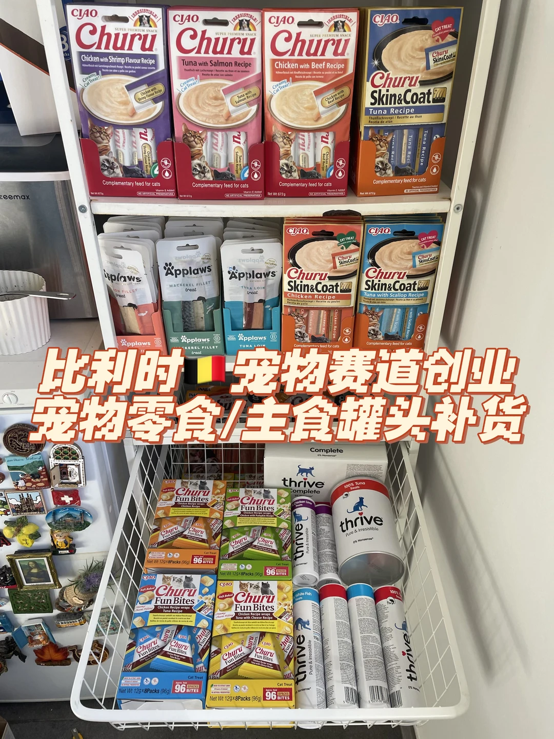 比利时🇧🇪宠物赛道创业｜猫不爱吃的我不卖