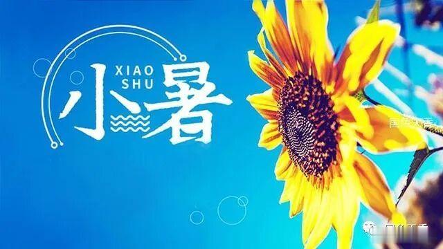 人世间所谓的生活，是由大哭、抽泣、破涕为笑组合而成的，而在这之中，抽泣占据了绝大