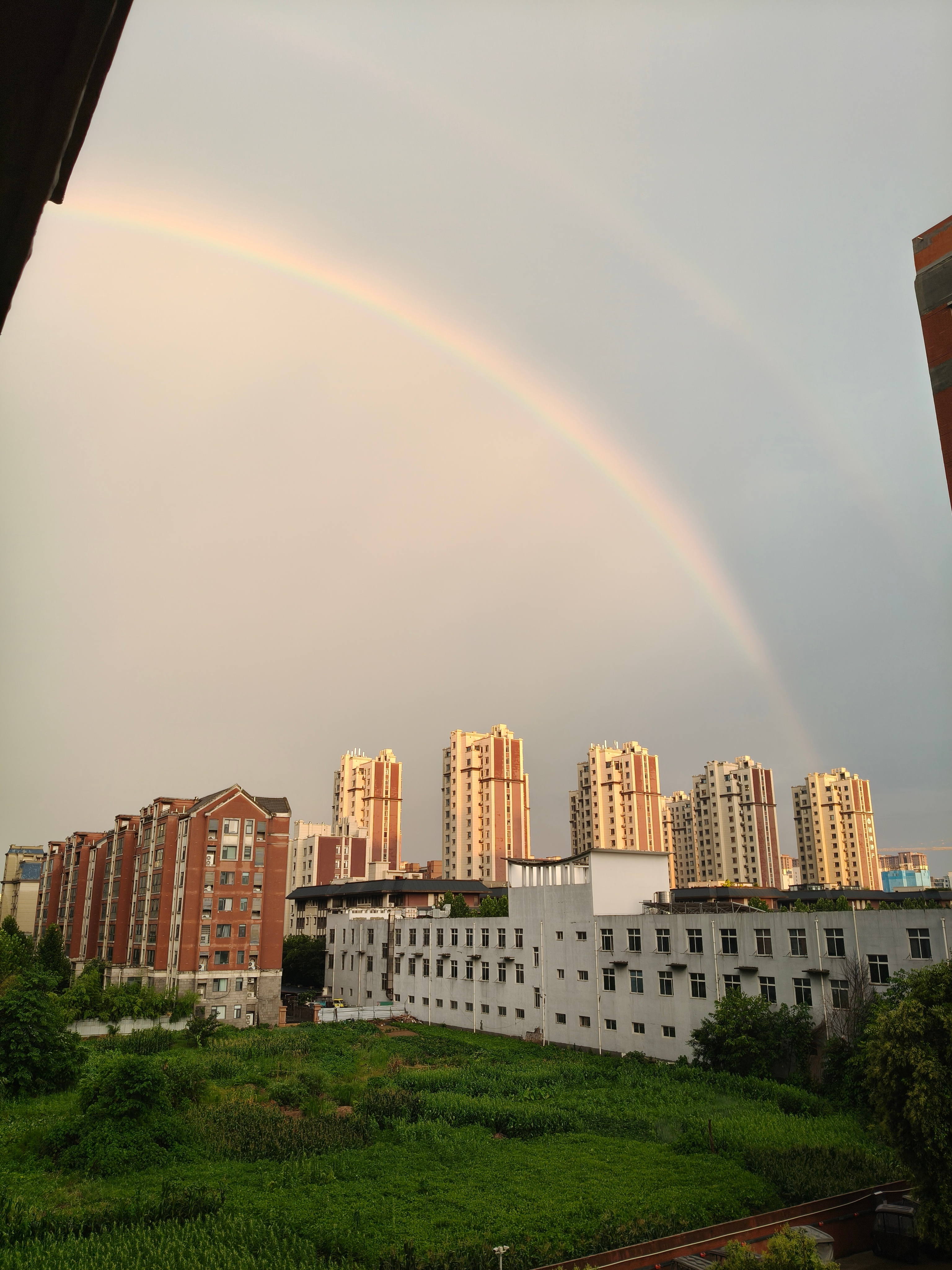 🌈 