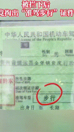 真的大开眼界！这年头啥奇葩事都有，连“步行驾照”都出来了…
 活久见！贵州一男子