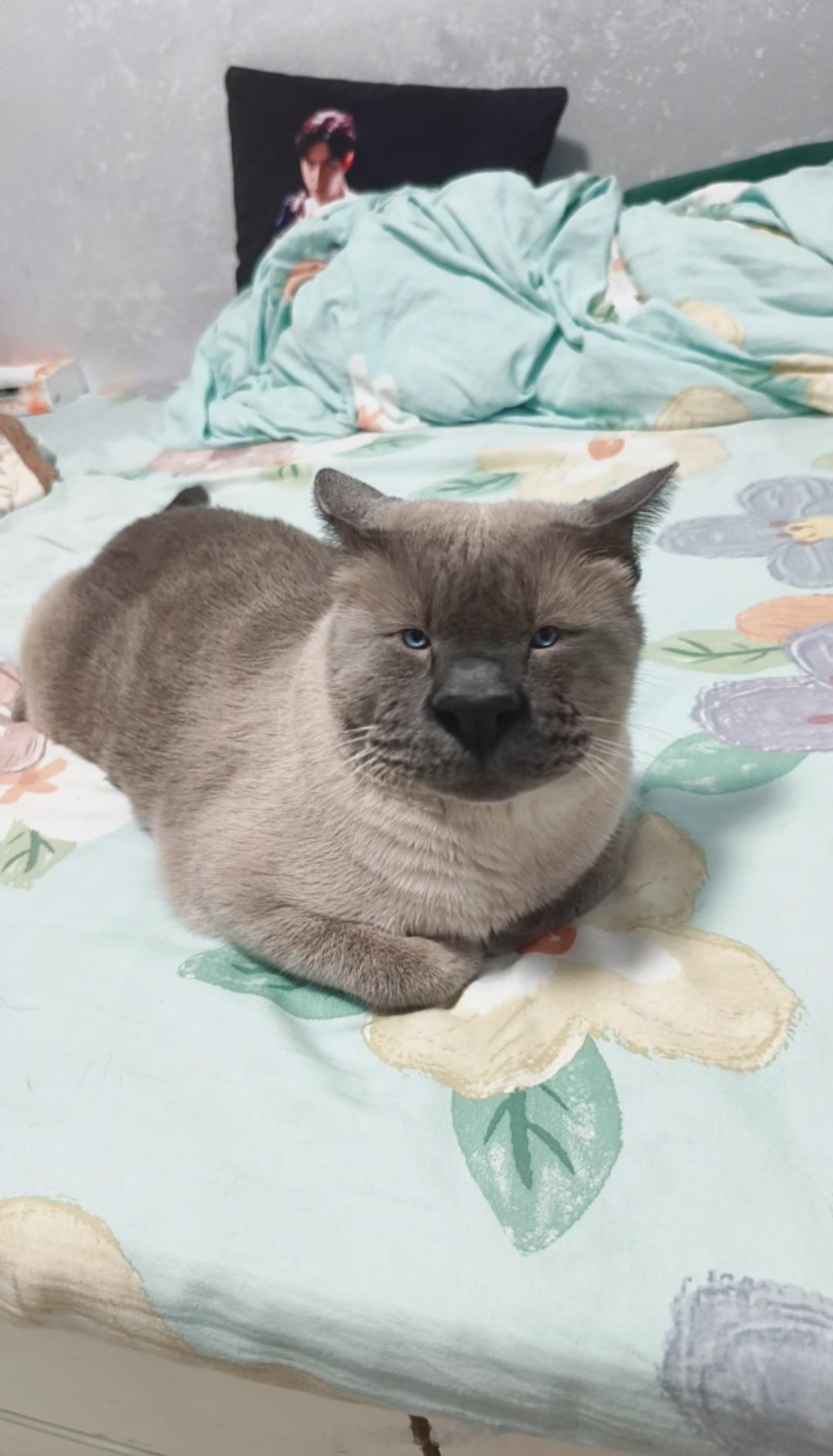 可爱可爱❥(ゝω・✿ฺ) ​​​